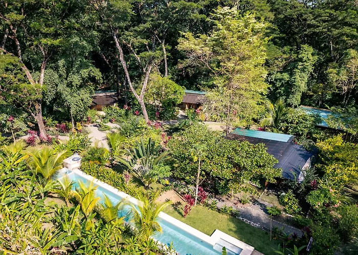 Feeling Trees Jungle Lodge